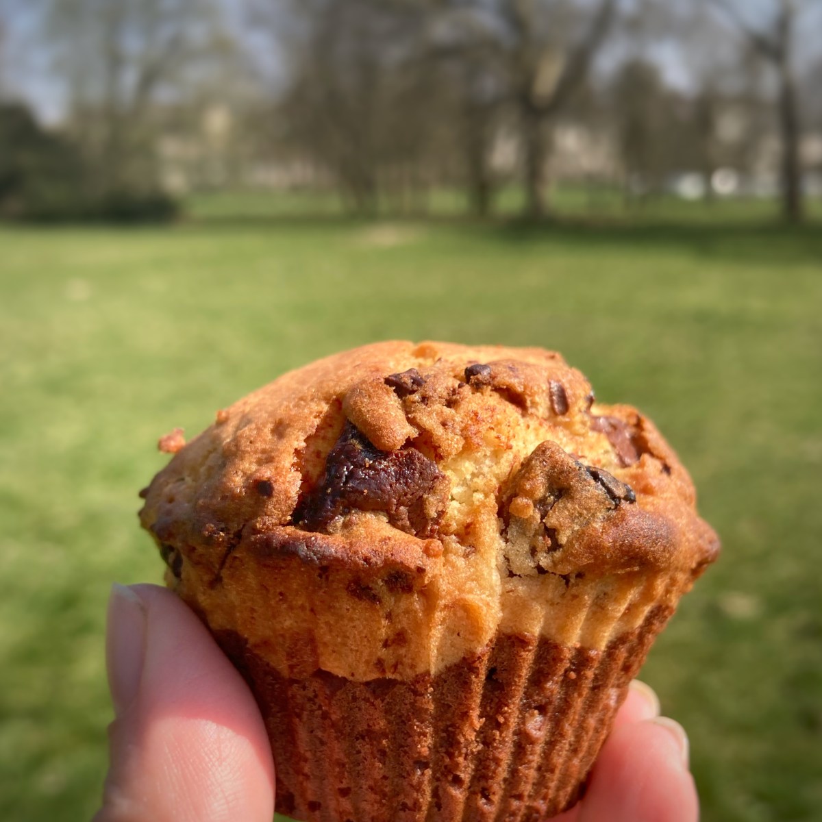 Muffins brookie fondants